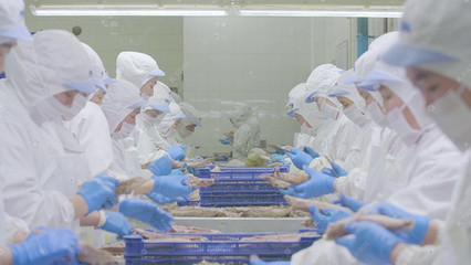 震撼重慶盤龍立交全景車流延時(shí)與食品添加劑生產(chǎn)的現(xiàn)代都市交響曲