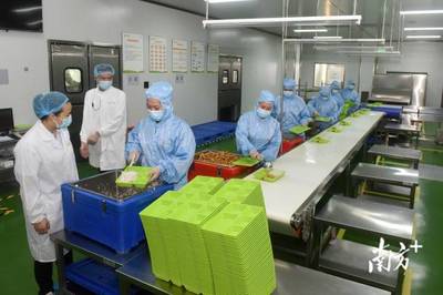 南方觀察|博羅啟動(dòng)“鏈長(zhǎng)制”，首發(fā)者為何是食品添加劑產(chǎn)業(yè)？